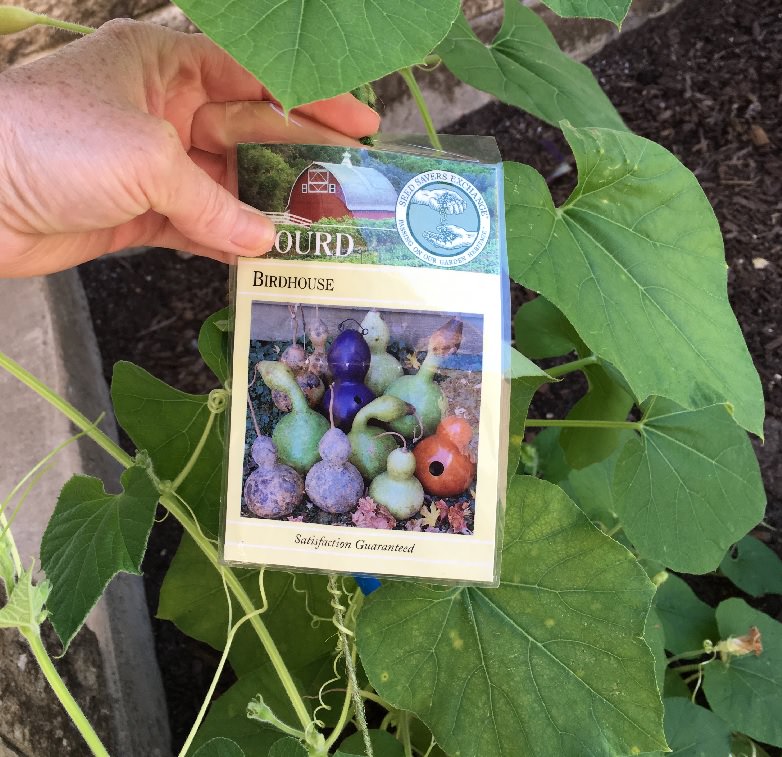 seed pack of birdhouse gourds