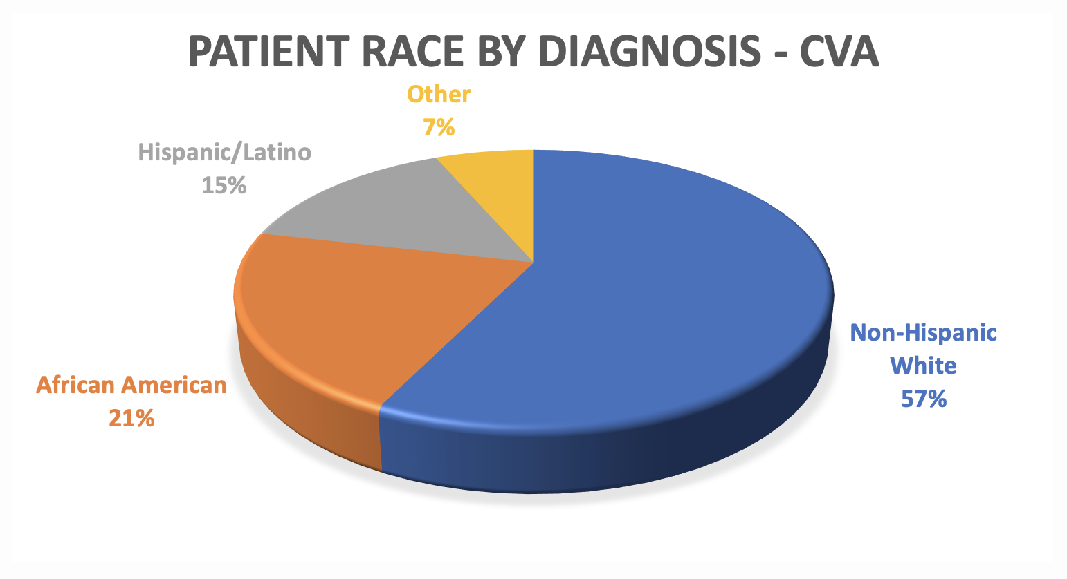 image of pie chart reveals patient race data for CVA at Pate Rehab