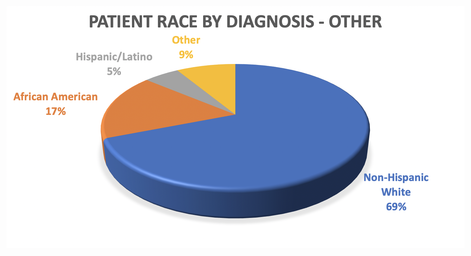 image of pie chart reveals patient race data for other ABI at Pate Rehab